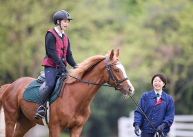 乗馬スクール